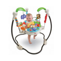 Rent this jumperoo while on holiday in bermuda from little longtails